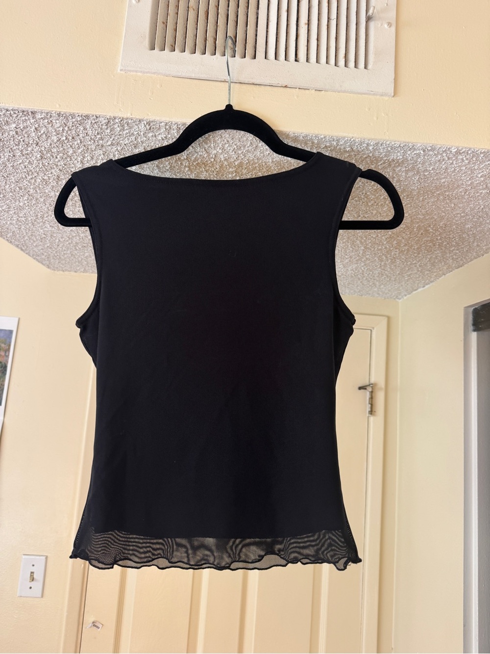 Brandy Melville Black Sleeveless Tank with Mesh Ruffle Hem